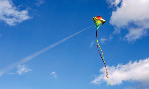 Kite
