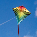 Kite