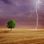 field with tree and lightning