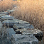 stepping stones through the reeds