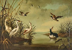 Sabian Symbol for Aries 30: A duck pond and its brood