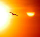 Solar Return Premium Report